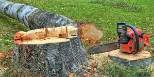 Best Hazardous Tree Removal  in Nokomis, IL